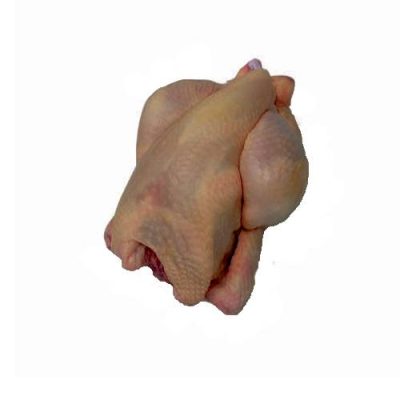 Poussiner 500 gr.6 stk.
