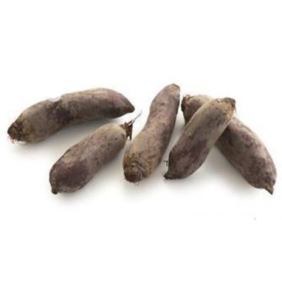 Rødbeder 5 kg. Lammefjords rødbeder