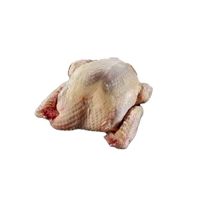 Perlehøne 1 stk. 1200 gr.