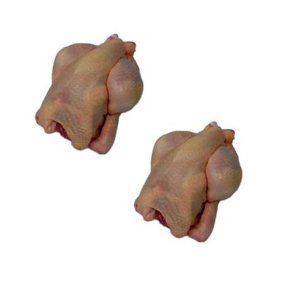 Poussiner 500 gr. 12 stk.