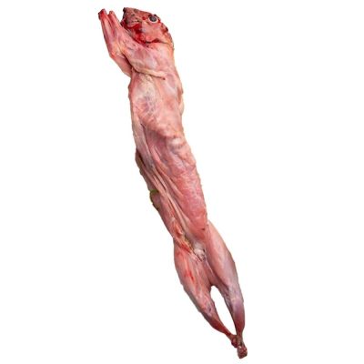 Kalv og Kanin