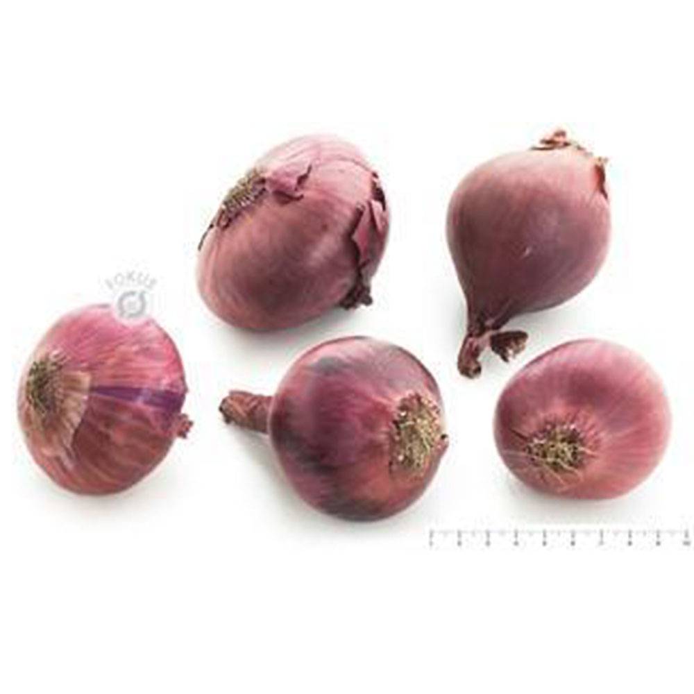 Løg Rødløg 75+10 kg. 1 Løg Rødløg 75+ 10 kg.