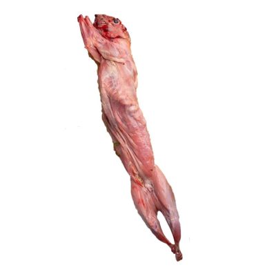 Kanin med hoved ca. 1700 gr.